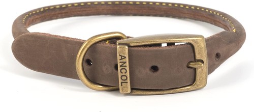 Ancol timberwolf bonded thread - timberwolf,