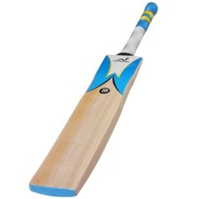 Woodworm Cricket iBat 235