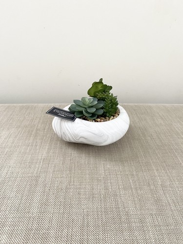 Next faux succulents - succulents, in