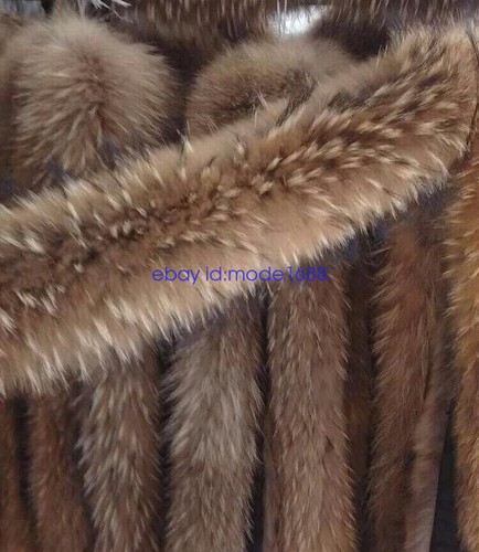 2026 real raccoon - 2026, fur
