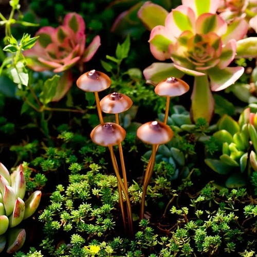 Outdoor garden bonsai decor - outdoor,