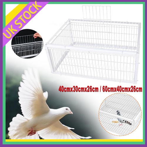 Pigeon trap cage single - cage,