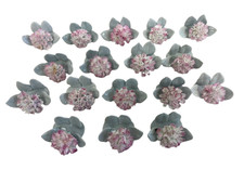 1982 Royal Doulton Carnation