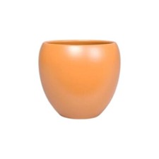 Ceramic , Cement Indoor Plant