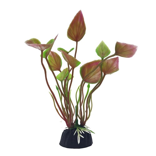 Swell red banyan leaves - swell,