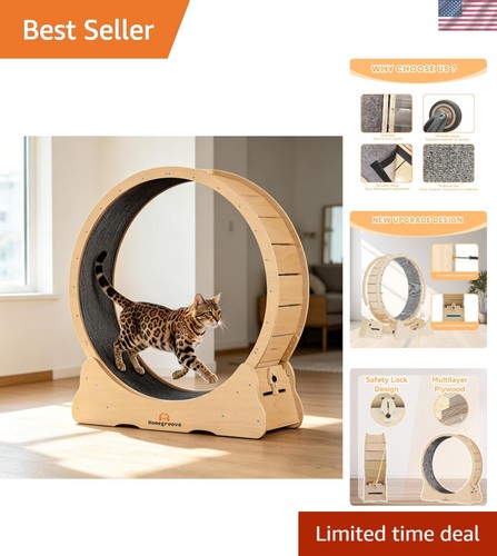 Cat exercise wheel for - exercise, indoor