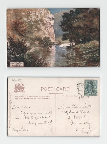 Postcard lion face - postcard,