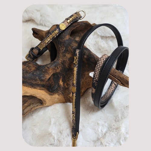 Staffy show collar lead set - staffy,