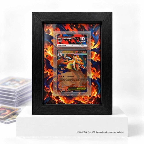 Mega charizard ascended - mega, y