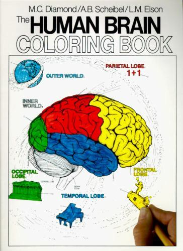 Coloring concepts ser the - coloring,