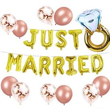 Just Married Wedding Party Photo Bunting Banner Balloons Decoration Bridal Props