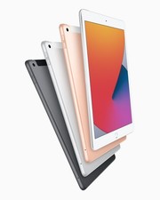 Apple iPad (8th Gen) 10.2 in