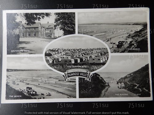 Multiview postcard primrose - multiview,