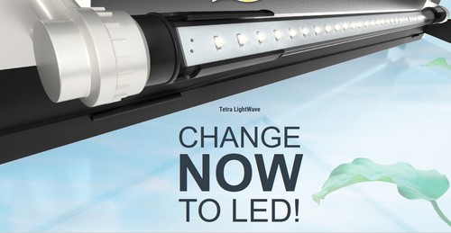 Tetra lightwave led - lightwave, change