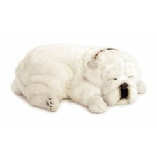 Precious Petzzz - Breathing