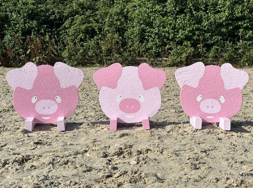 Pig show jump fillers - show,