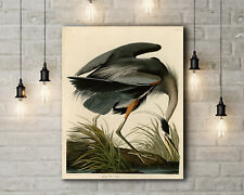 John James Audubon: Great Blue