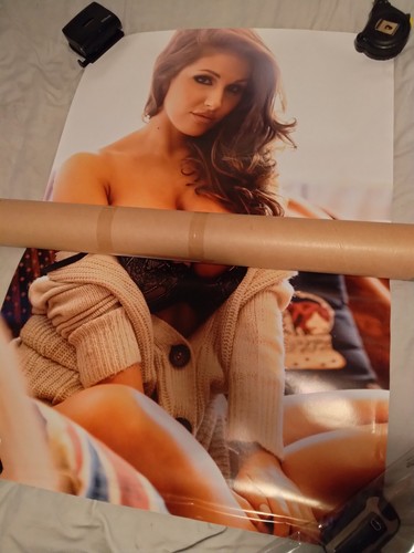 Lucy pinder poster - pinder,