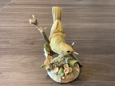 Teviotdale Chiff Chaff by D