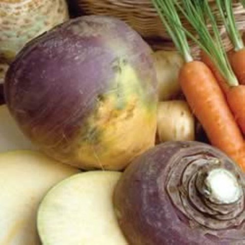 Swede marian 500 seeds - marian,