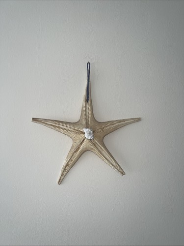 Decorative real dried starfish - real,