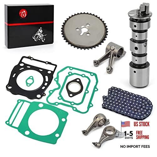 Cam timing chain - cam, arm