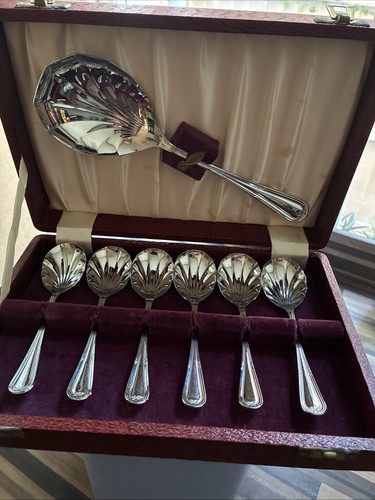 Dessert spoons case - spoons,