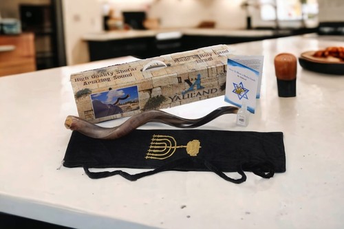 Kosher kudu shofar horn - kosher,
