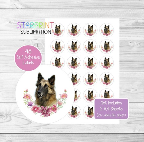 Belgian shepherd dog tervuren - belgian,