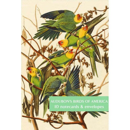 Audubon birds america - of,