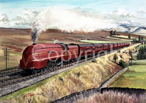Duchess norfolk 6226 steam - duchess,