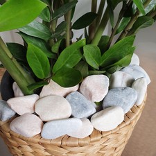 Premium Pastel Pink Grey White