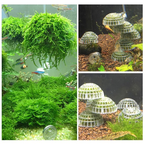 Floating submersible moss ball - floating,