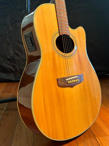 Rare vintage fender - rare,