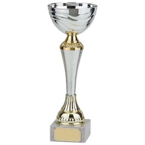 Silver gold everest series - silver/gold,