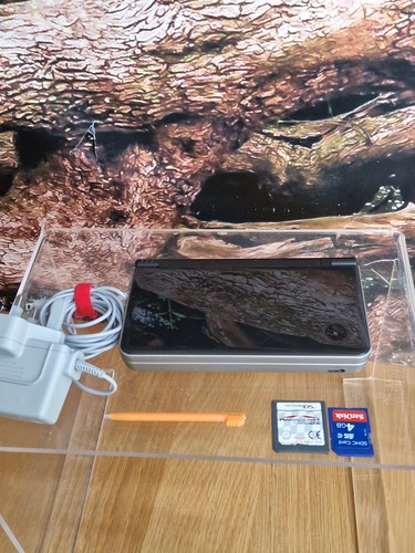 Nintendo dsi handheld - nintendo,