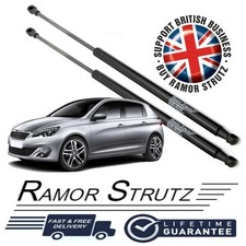 Ramor Strutz 2x Tailgate Gas