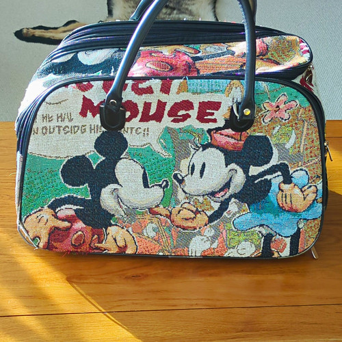 Disney mickey mouse - disney,