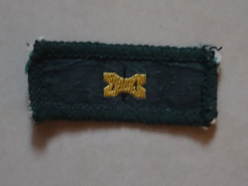 Gilwell park single bead - bead, wood