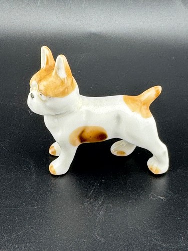 Miniature french bulldog - miniature,