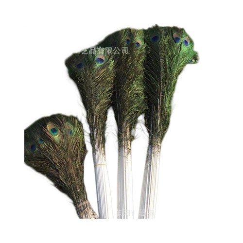Natural peacock feathers diy - natural,