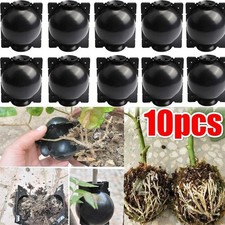 10Pcs Grafting Box Plant