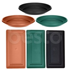 Plant pot saucer plastic - plant,