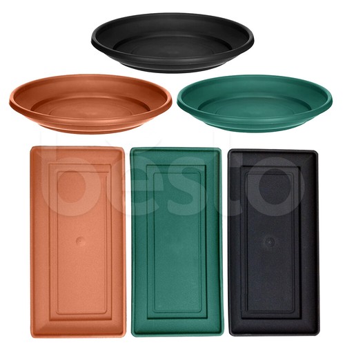 Plant pot saucer plastic - plant,