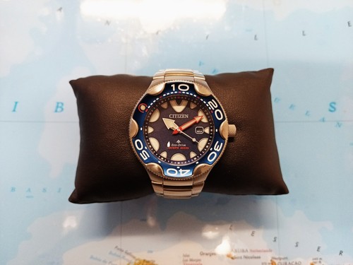Citizen eco drive promaster - citizen,