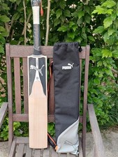 Puma evoPower 2 SE cricket bat