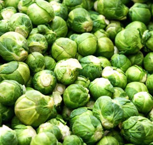 Brussel sprouts 1000 seeds - brussel,
