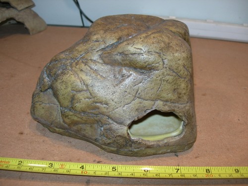 Reptile frog vivarium - reptile,
