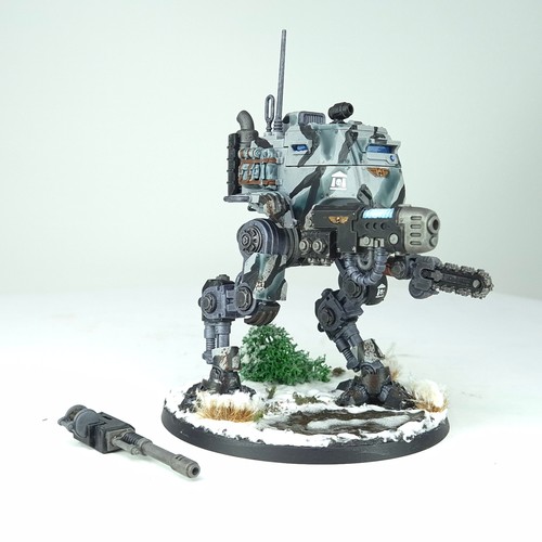 Sentinel painted astra - painted,