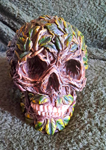 Resin skull figurines mixed - resin,